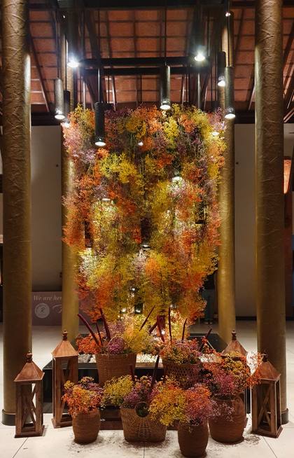 Ceiling — Arrival / Lobby decor — Alila Diwa Goa